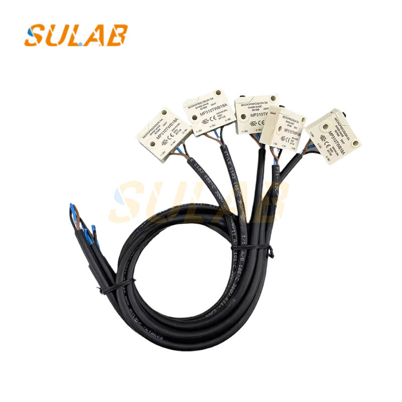 3300 3600 Compatible Elevator Brake Switch MP310TWB18A with IP67 Protection and RoHS Compliance